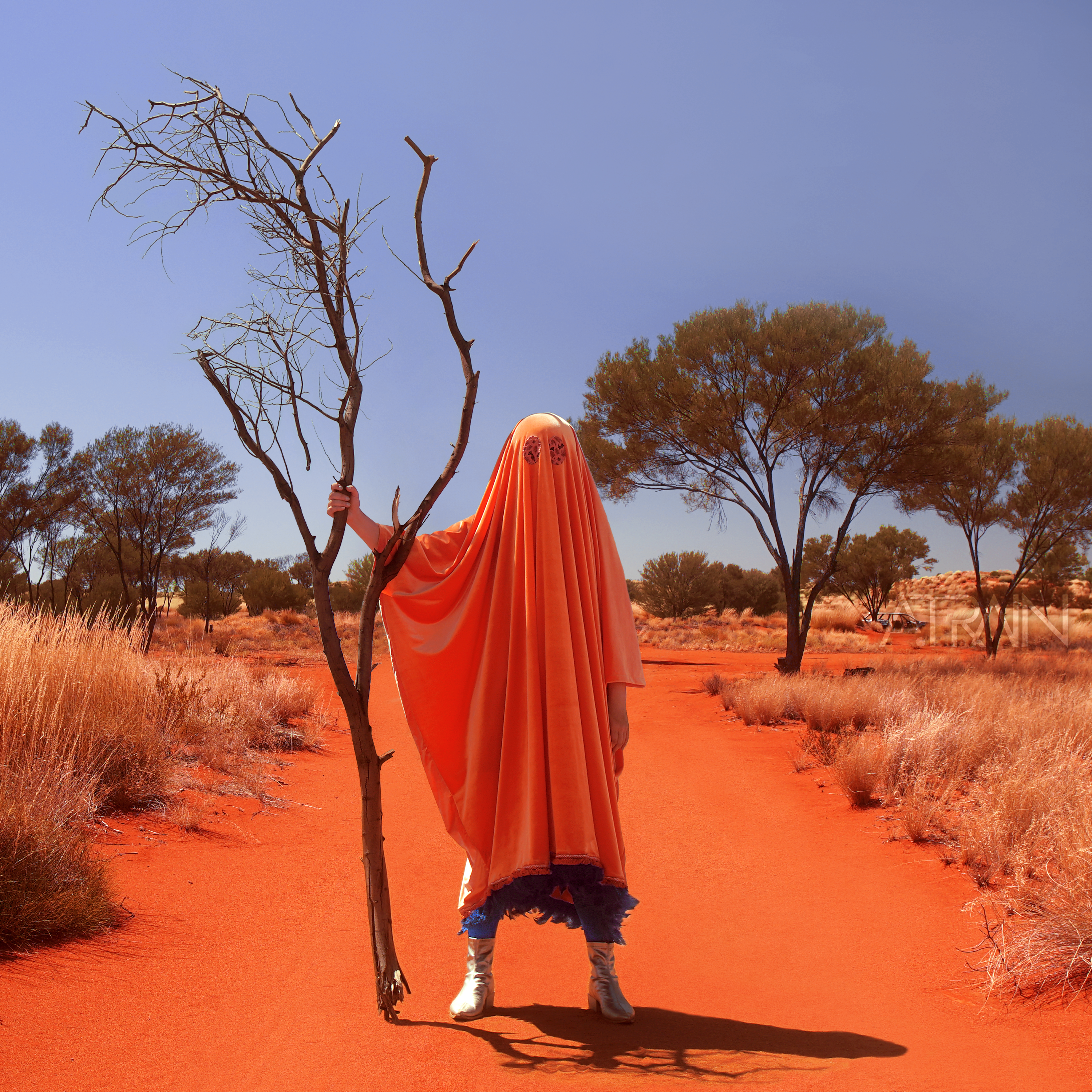 Image Cover